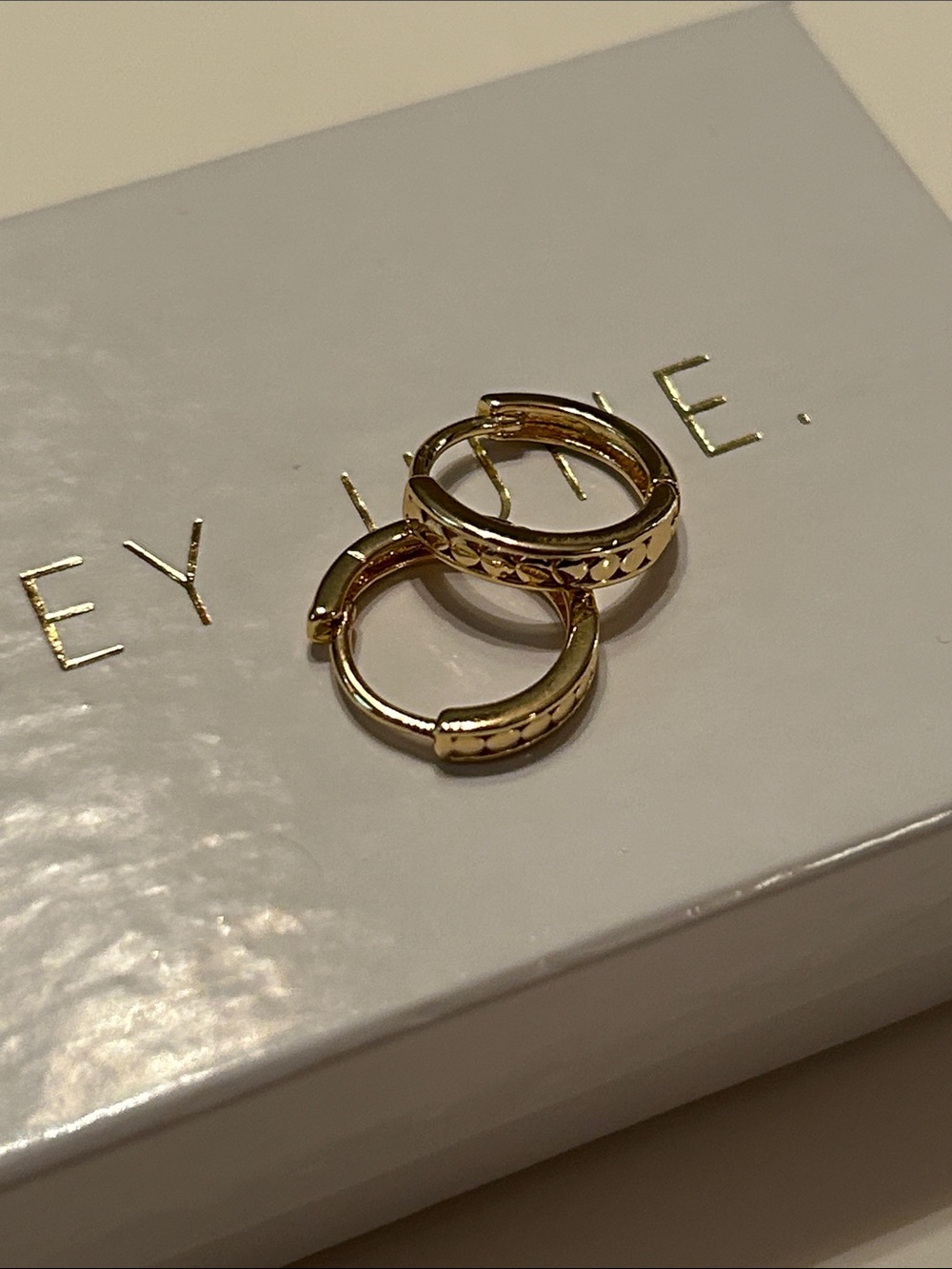 Hey June Hoop of the Month, NIB, gold filled